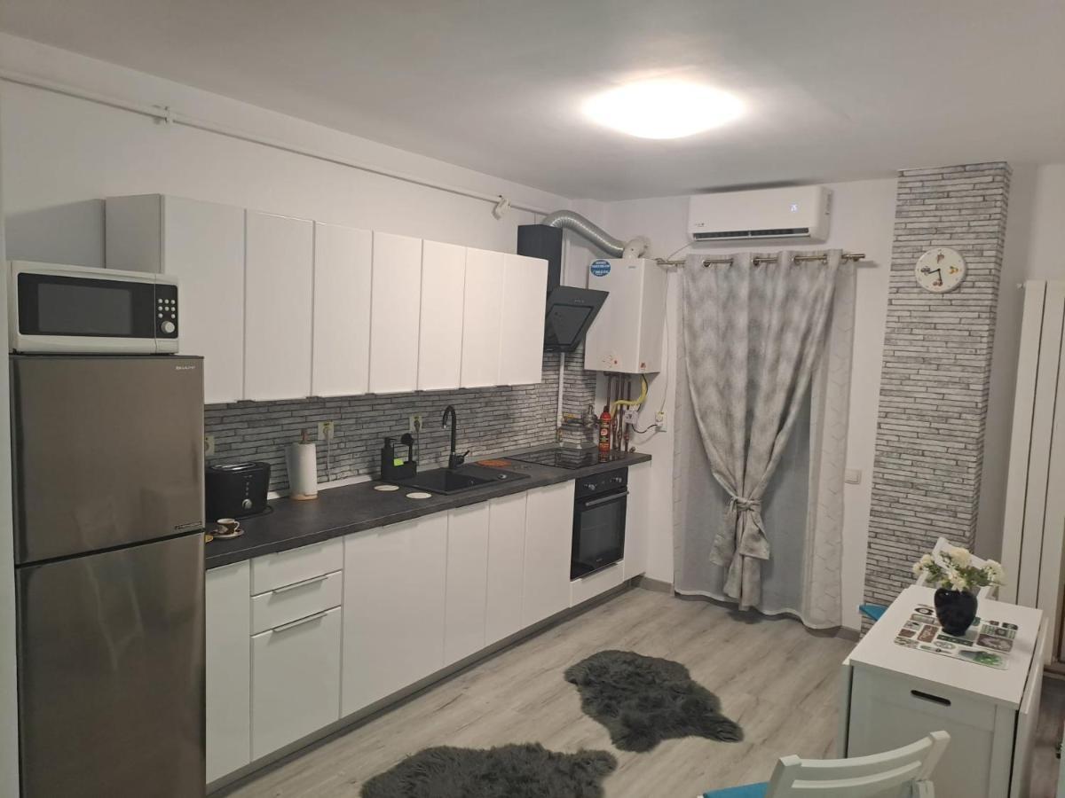 Apartament Bio Şelimbăr Esterno foto